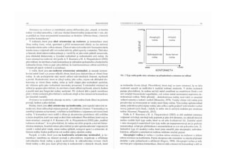Přesvědčení o rodinných vztazích - vybrané teoretické koncepce a nárys jejich aplikace v praxi rodinné terapie