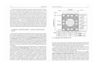 Přesvědčení o rodinných vztazích - vybrané teoretické koncepce a nárys jejich aplikace v praxi rodinné terapie