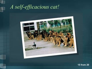 A self-efficacious cat!




                          15 from 20
 