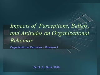 Impacts of Perceptions, Beliefs, 
and Attitudes on Organizational 
Behavior 
 