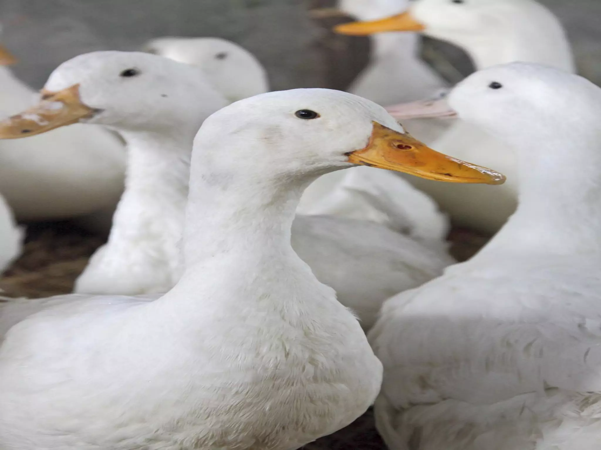 BELIEVE TO SEE 03 - FAITH THAT WORKS - BRO. JAY REBANAL - 6:30PM EVENING SERVICE