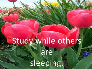 Study while others
are
sleeping.

 