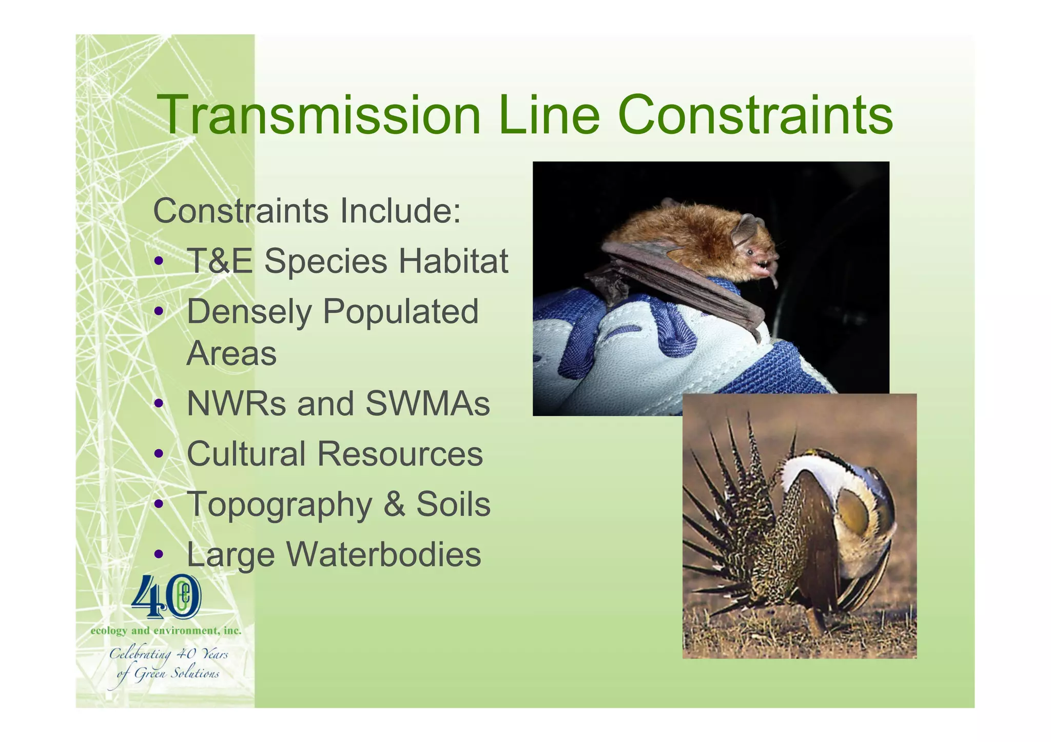 Transmission Line Constraints
Constraints Include:
• T&E Species Habitat
• Densely Populated
  Areas
• NWRs and SWMAs
• Cultural Resources
• Topography & Soils
• Large Waterbodies
 