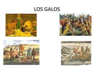 LOS GALOS 