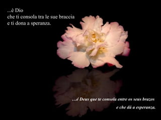 ...è Dio che ti consola tra le sue braccia e ti dona a speranza. … é Deus que te consola entre os seus brazos  e che dá a esperanza. 