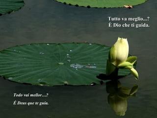 Tutto va meglio...? È Dio che ti guida. Todo vai mellor…? É Deus que te guía. 