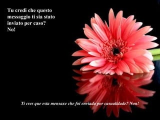 Tu credi che questo messaggio ti sia stato inviato per caso? No! Ti cres que esta mensaxe che foi enviada por casualidade? Non! 