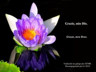 Grazie, mio Dio. Traducido ao galego por XFMR.  Recompaginado por Li 2010  Grazas, meu Deus. 