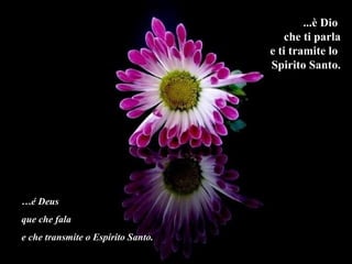 ...è Dio  che ti parla e ti tramite lo  Spirito Santo. … é Deus  que che fala  e che transmite o Espírito Santo. 
