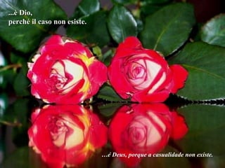 ...è Dio, perché il caso non esiste. … é Deus, porque a casualidade non existe. 