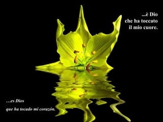 ...è Dio
                            che ha toccato
                              il mio cuore.




…es Dios
que ha tocado mi corazón.
 