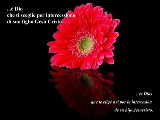 ...è Dio
che ti sceglie per intercessione
di suo figlio Gesù Cristo.




                                                            …es Dios
                                   que te elige a tí por la intercesión
                                                de su hijo Jesucristo.
 