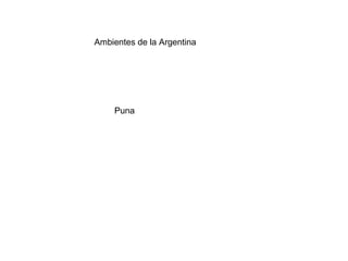 Ambientes de la Argentina
Puna
 
