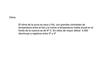 Clima
El clima de la puna es seco y frió, con grandes contrastes de
temperatura entre el día y la noche a temperatura media anual en el
fondo de la cuenca es de 9º C. En sitios de mayor altitud 4.500
disminuye a registros entre 0º y 4º
 