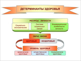 Совместная лень и нездоровый образ жизни: как это влияет на отношения в паре и здоровье