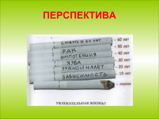 ПЕРСПЕКТИВА 
 