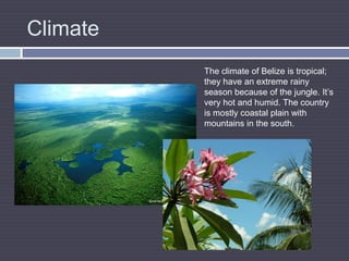 ClimateThe climate of Belize is tropical; they have an extreme rainy season because of the jungle. It’s very hot and humid. The country is mostly coastal plain with mountains in the south. 