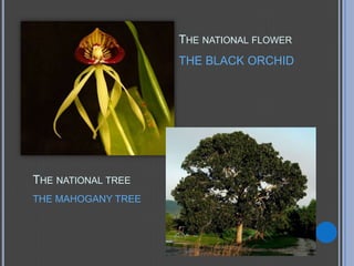 THE NATIONAL FLOWER
                    THE BLACK ORCHID




THE NATIONAL TREE
THE MAHOGANY TREE
 