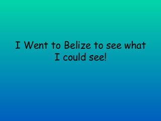 I Went to Belize to see what I could see! 