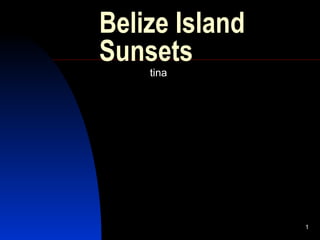 Belize Island Sunsets tina 