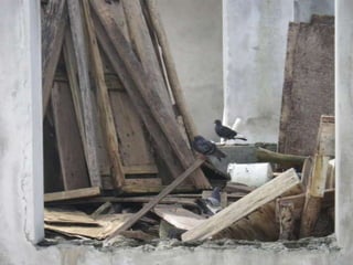 Mission to save teeth in Belize Nov '13