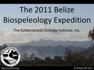 The 2011 Belize  Biospeleology Expedition The Subterranean Ecology Institute, Inc. © SJTaylor/SEI 2011 http://cavelife.org/ 