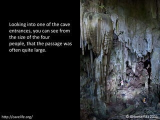 Looking into one of the cave entrances, you can see from the size of the four people, that the passage was often quite large.© GHoese/SEI 2011http://cavelife.org/