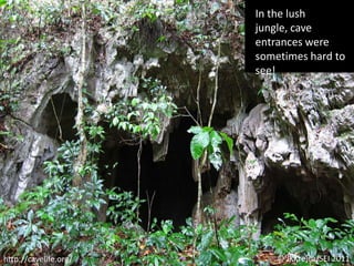 In the lush jungle, cave entrances were sometimes hard to see!© JKKrejca/SEI 2011http://cavelife.org/