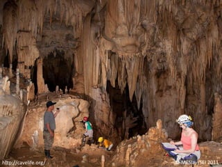 © MESlay/SEI 2011http://cavelife.org/