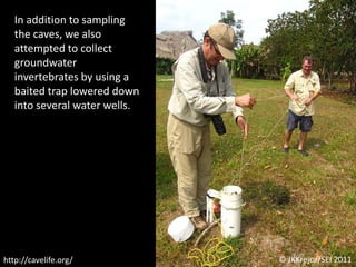In addition to sampling the caves, we also attempted to collect groundwater invertebrates by using a baited trap lowered down into several water wells.© JKKrejca/SEI 2011http://cavelife.org/