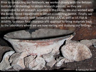 Prior to conducting our fieldwork, we worked closely with the Belizian Institute of Archeology to obtain research permits, as they are responsible for all research activities in the caves.  We also worked with the Belize Forest Department to obtain a collecting permit.  Finally, we work with customs in both Belize and the USA, as well as US Fish & Wildlife, to obtain final clearance and approval to bring materials back to the laboratory where we are now sorting and studying our findings. © MESlay/SEI 2011http://cavelife.org/