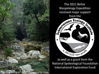 The 2011 Belize Biospeleogy Expeditionreceived major supportfrom theas well as a grant from theNational Speleological FoundationInternational Exploration Fundhttp://cavelife.org/© GHoese/SEI 2011