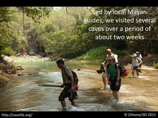 Led by local Mayan guides, we visited several caves over a period of about two weeks© GHoese/SEI 2011http://cavelife.org/
