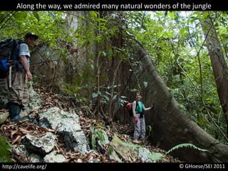 Along the way, we admired many natural wonders of the jungle© GHoese/SEI 2011http://cavelife.org/