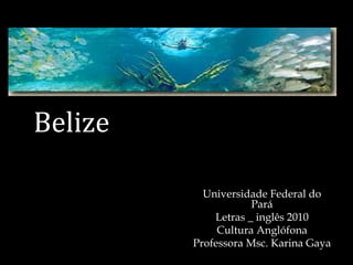 Belize
Universidade Federal do
Pará
Letras _ inglês 2010
Cultura Anglófona
Professora Msc. Karina Gaya
 
