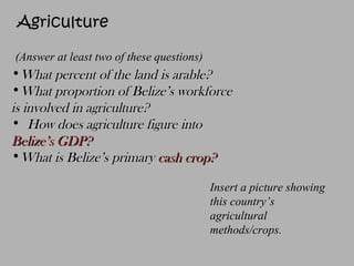 Agriculture
•What percent of the land is arable?What percent of the land is arable?
•What proportion of Belize’s workforceWhat proportion of Belize’s workforce
is involved in agriculture?is involved in agriculture?
• How does agriculture figure intoHow does agriculture figure into
Belize’s GDP?Belize’s GDP?
•What is Belize’s primaryWhat is Belize’s primary cash crop?cash crop?
Insert a picture showing
this country’s
agricultural
methods/crops.
(Answer at least two of these questions)
 