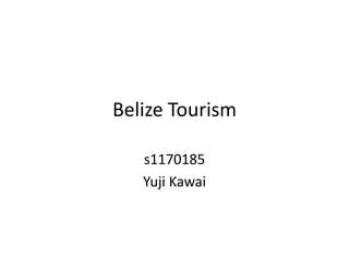 Belize Tourism

   s1170185
   Yuji Kawai
 