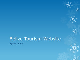 Belize Tourism Website
Ayaka Ohno

 