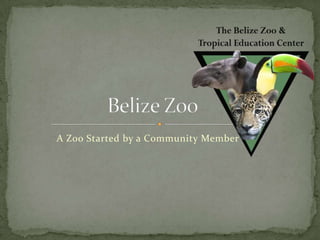 A Zoo Started by a Community Member

 