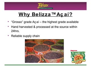 Why Belizza™Açaí? “ Grosso” grade Açaí – the highest grade available Hand harvested & processed at the source within 24hrs. Reliable supply chain 