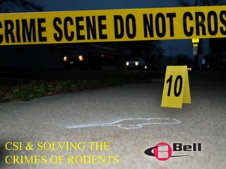 CSI & SOLVING THE 
CRIMES OF RODENTS 
 