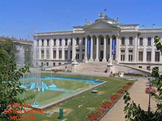 SZEGED MÓRA FERENC MÚZEUM 
