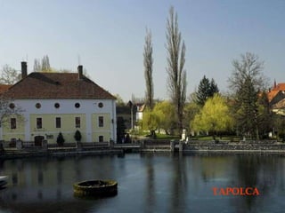 TAPOLCA 
