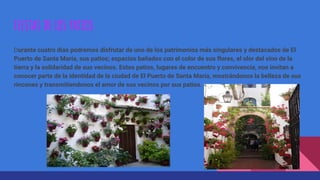 FIESTAS DE LOS PATIOS
Durante cuatro días podremos disfrutar de uno de los patrimonios más singulares y destacados de El
Puerto de Santa María, sus patios; espacios bañados con el color de sus flores, el olor del vino de la
tierra y la solidaridad de sus vecinos. Estos patios, lugares de encuentro y convivencia, nos invitan a
conocer parte de la identidad de la ciudad de El Puerto de Santa María, mostrándonos la belleza de sus
rincones y transmitiendonos el amor de sus vecinos por sus patios.
 
