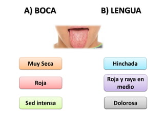 A) BOCA
Muy Seca
Roja
Sed intensa
Hinchada
Roja y raya en
medio
Dolorosa
B) LENGUA
 