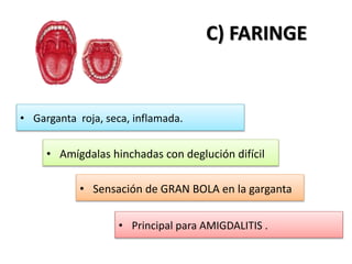 C) FARINGE
• Garganta roja, seca, inflamada.
• Amígdalas hinchadas con deglución difícil
• Sensación de GRAN BOLA en la garganta
• Principal para AMIGDALITIS .
 