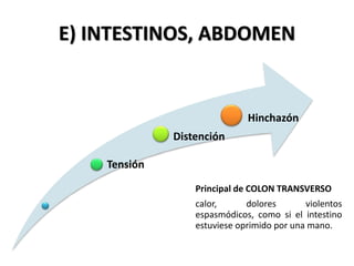 E) INTESTINOS, ABDOMEN
Tensión
Distención
Hinchazón
Principal de COLON TRANSVERSO
calor, dolores violentos
espasmódicos, como si el intestino
estuviese oprimido por una mano.
 