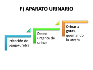 F) APARATO URINARIO
Irritación de
vejiga/uretra
Deseo
urgente de
orinar
Orinar a
gotas,
quemando
la uretra
 