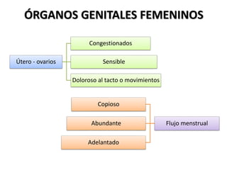 ÓRGANOS GENITALES FEMENINOS
Útero - ovarios
Congestionados
Sensible
Doloroso al tacto o movimientos
Flujo menstrual
Copioso
Abundante
Adelantado
 