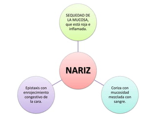 NARIZ
SEQUEDAD DE
LA MUCOSA,
que está roja e
inflamada.
Coriza con
mucosidad
mezclada con
sangre.
Epistaxis con
enrojecimiento
congestivo de
la cara.
 